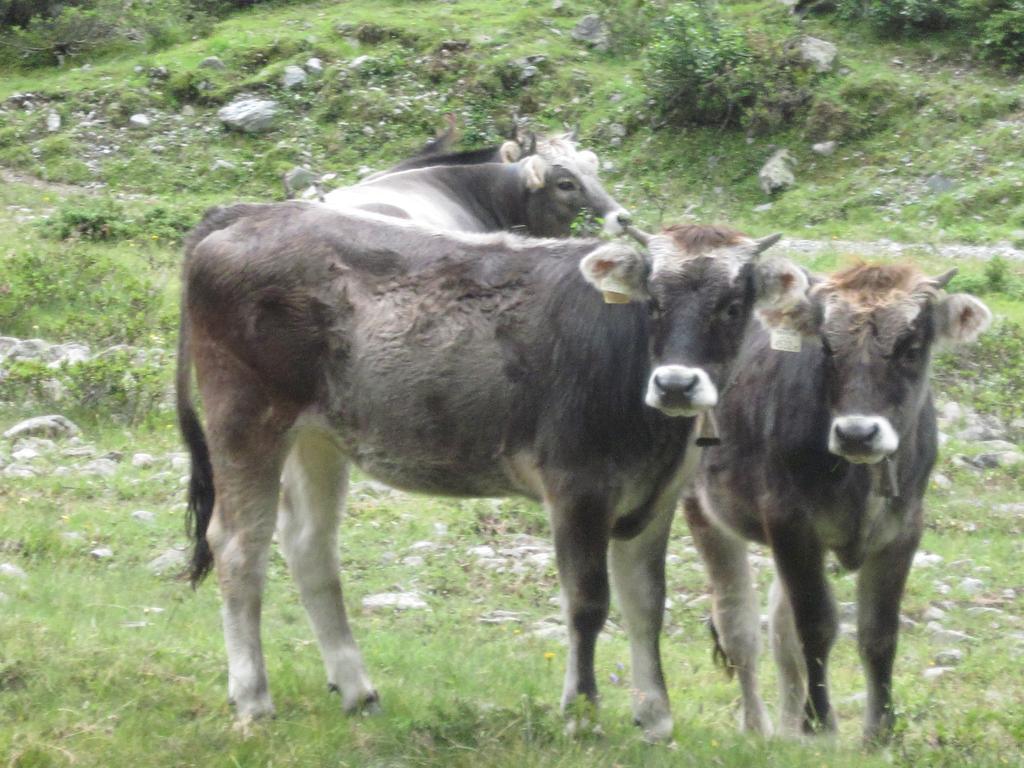 Gaestehaus Walch Fendels Zewnętrze zdjęcie